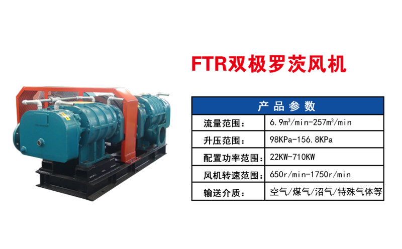 雙極羅茨鼓風(fēng)機(jī)主要技術(shù)參數(shù)